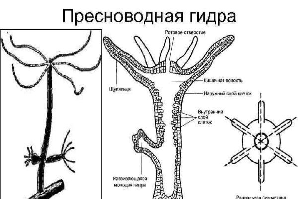 Ссылка на кракен 2krnmarket