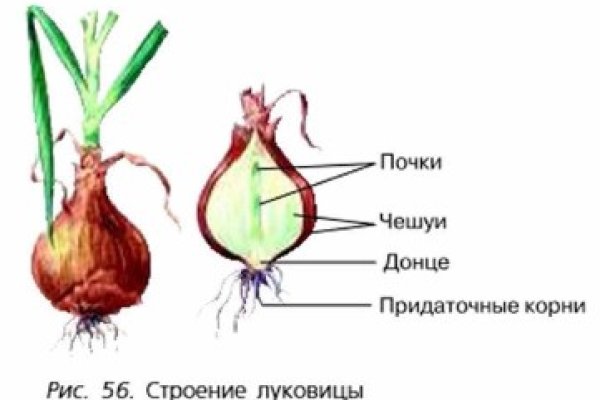 Ссылки на даркнет